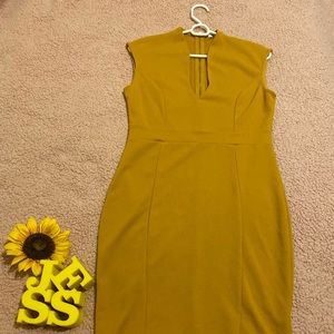 Fashion Nova never worn dress.